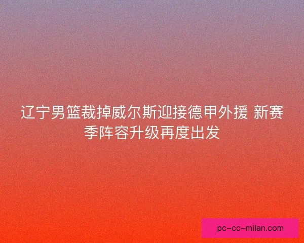 辽宁男篮裁掉威尔斯迎接德甲外援 新赛季阵容升级再度出发