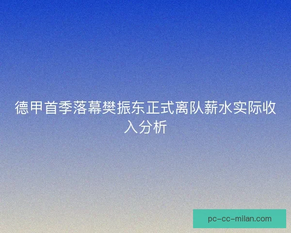 德甲首季落幕樊振东正式离队薪水实际收入分析
