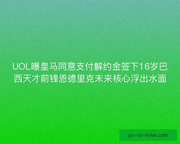 UOL曝皇马同意支付解约金签下16岁巴西天才前锋恩德里克未来核心浮出水面 UOL曝皇马同意支付解约金签下16岁巴西天才前锋恩德里克未来核心浮出水面